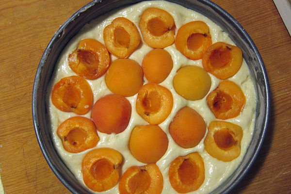 Apricot_cake_unbaked