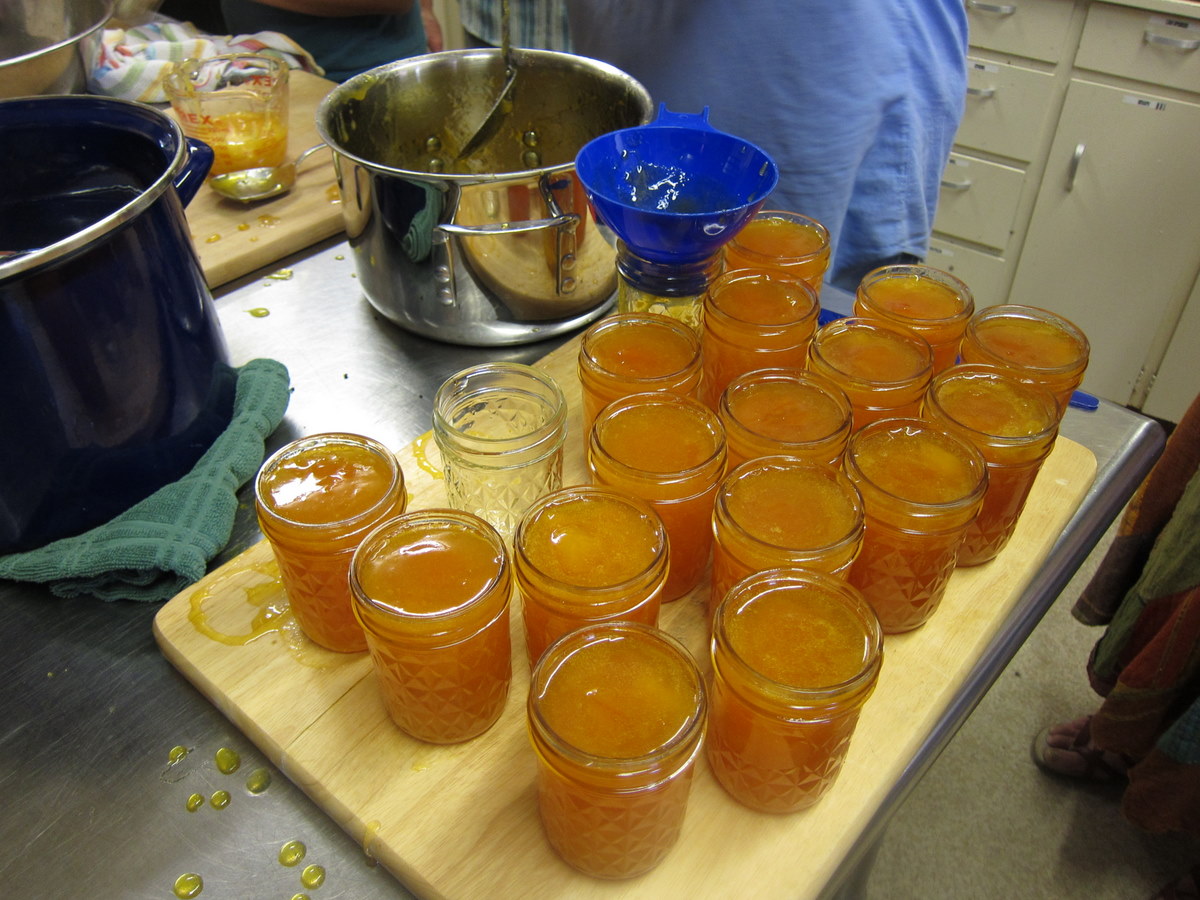 Apricot_jam