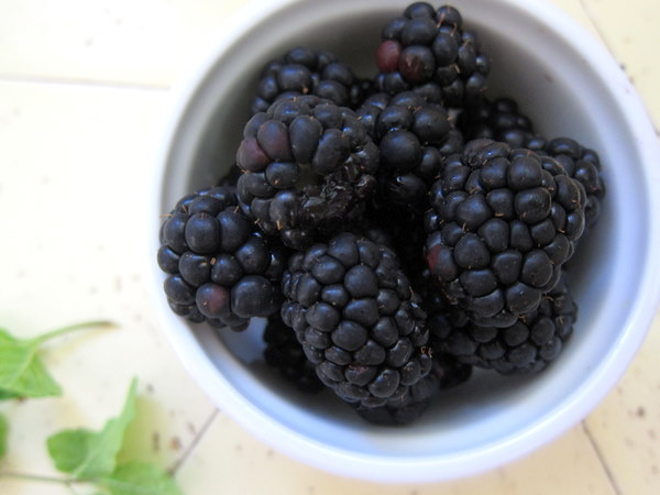 Blackberries