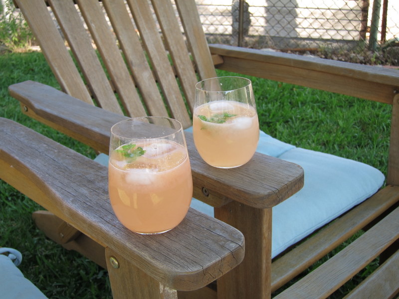 Grapefruit_margarita_spritz