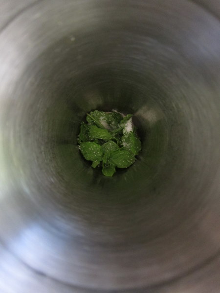 Muddling_mint