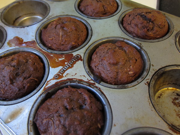 Choc_muffins_baked