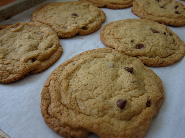 chocolate_chip_1