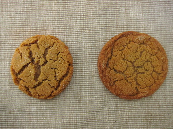 Ginger_cookies_2