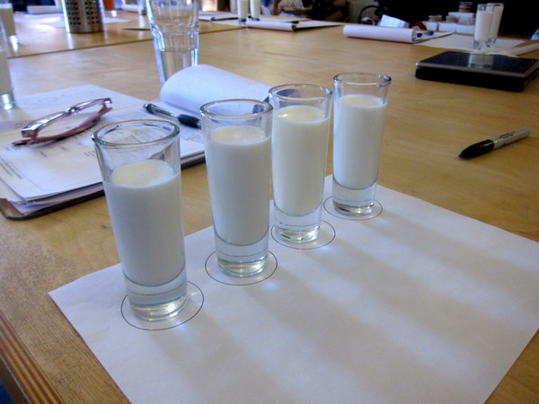 Goat_milk_tasting