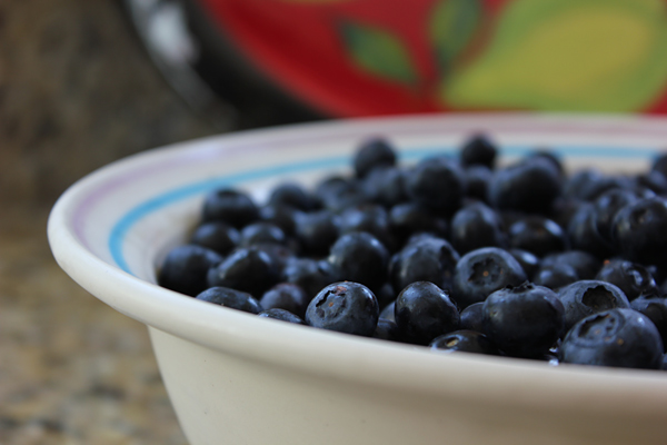 blueberries (1)