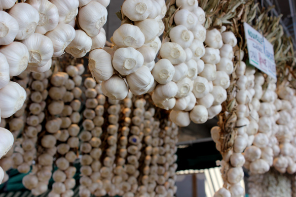 marche_garlic