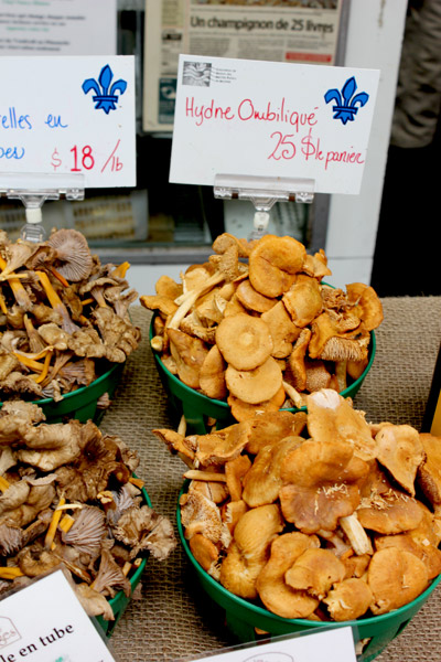 marche_mushrooms