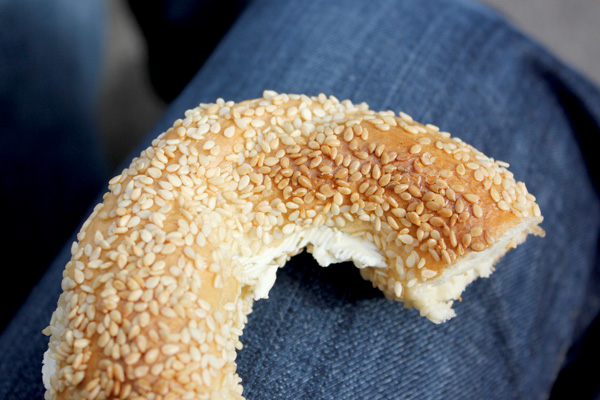 stviateur_bagel