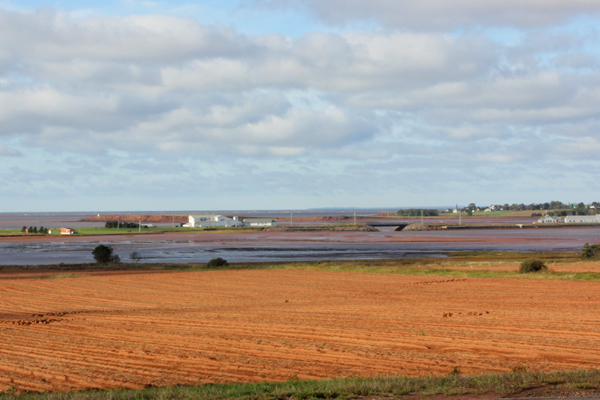 pei_fields