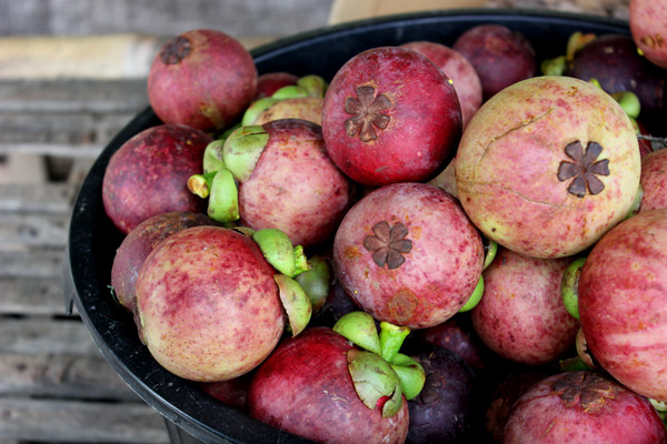 mangosteen