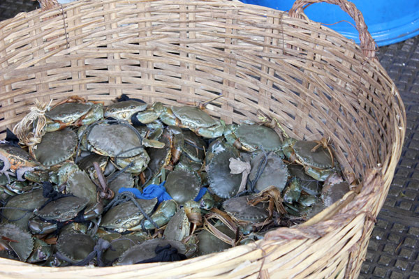 crab_basket