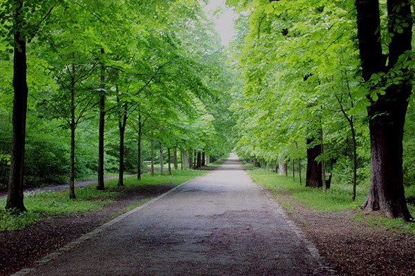 Wienerwald