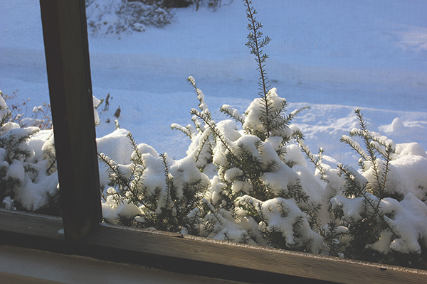 Snow_window