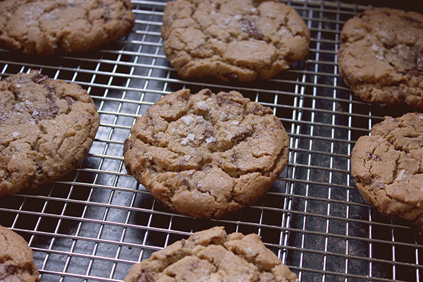 Peanut_butter_chocolate_cookie