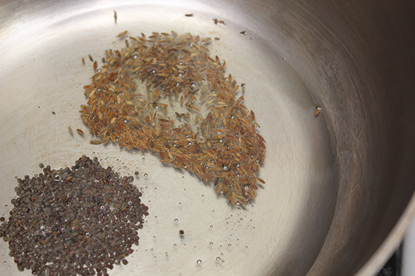 Frying-spices